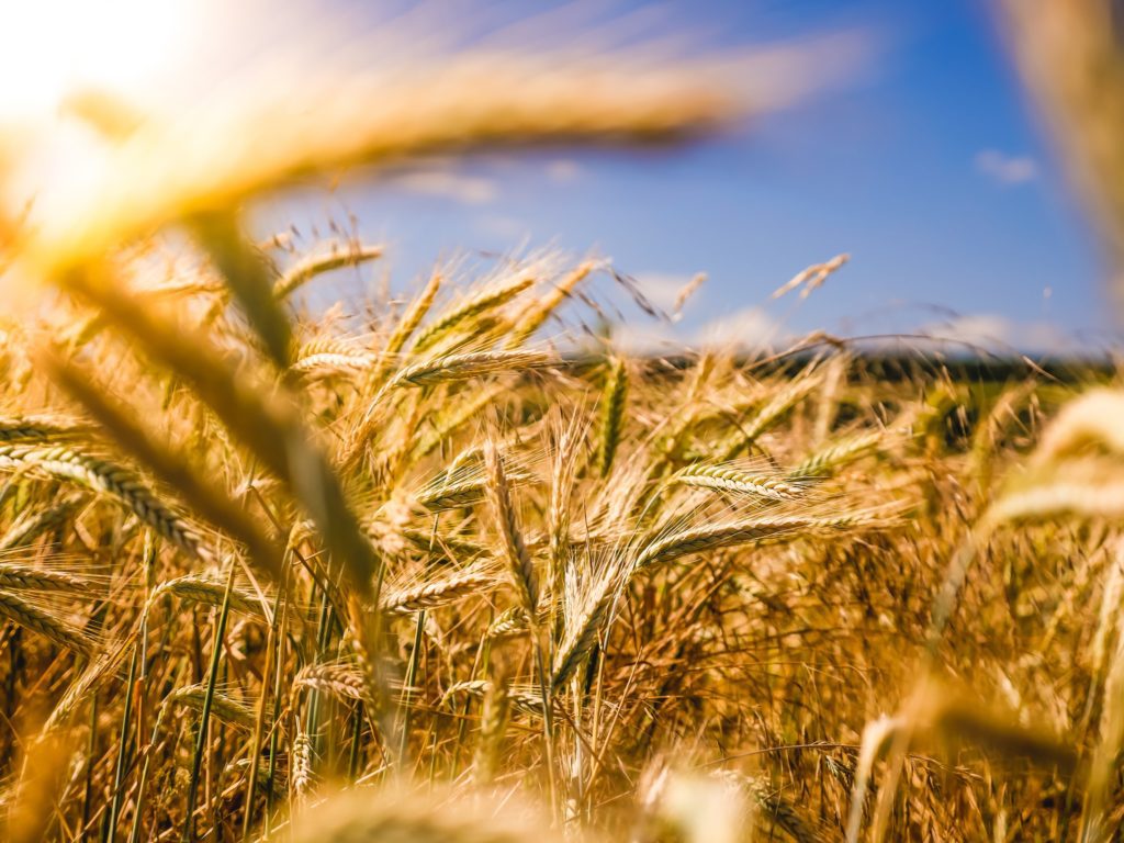 L'agriculture est en pleine concentration